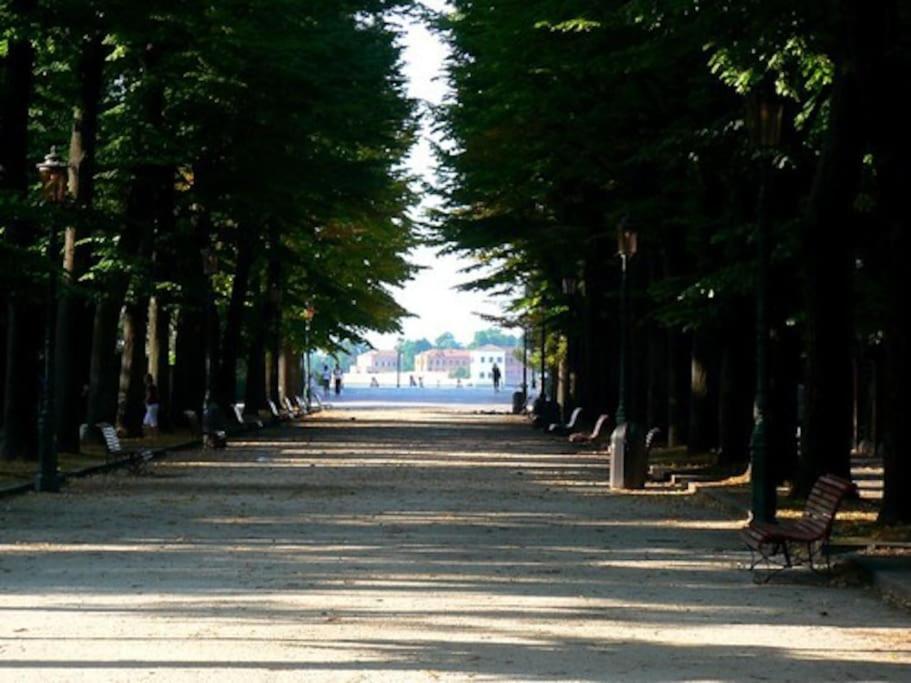 Residenza Garibaldi Apartment Venesia Bagian luar foto